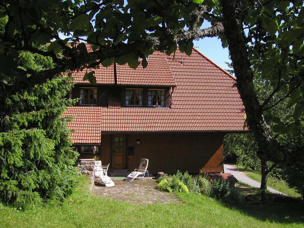 Appartement Schmalzerhisli à Oberwolfach Extérieur photo